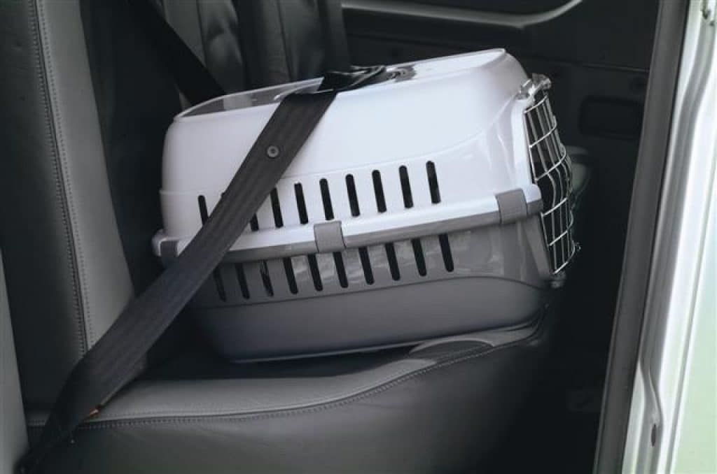 Cage De Transport Chat Starnimo