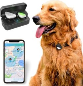 Traqueur GPS PetFon Pet