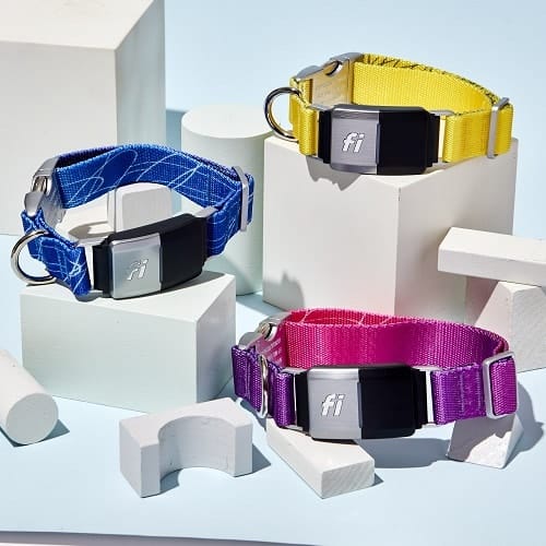 Examen du collier de chien Fi Smart