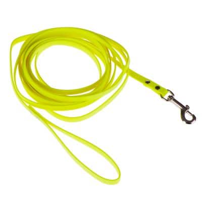 chiot jaune fluo