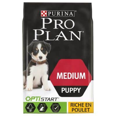 croquette purina chiot