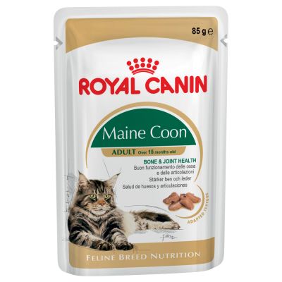 croquette royal canin chaton maine coon