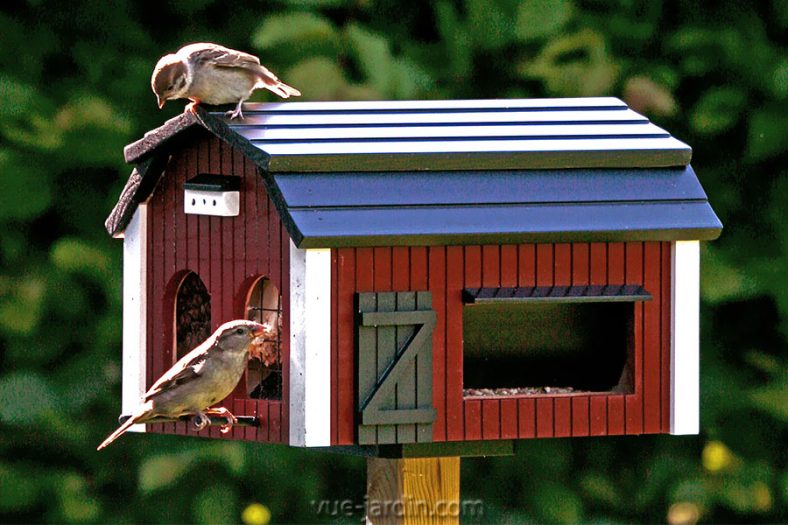 Mangeoire Oiseaux Design Starnimo