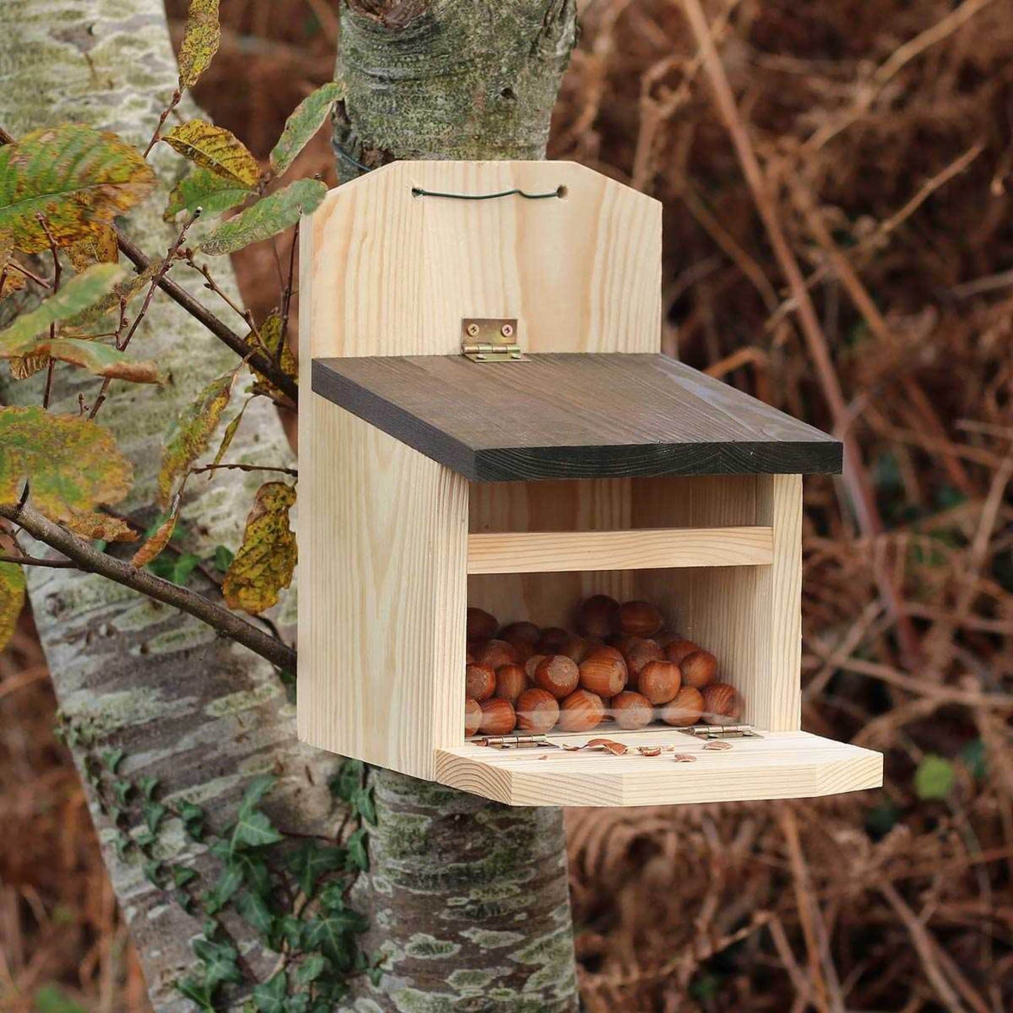 Plan Mangeoire Oiseaux Gratuit Starnimo