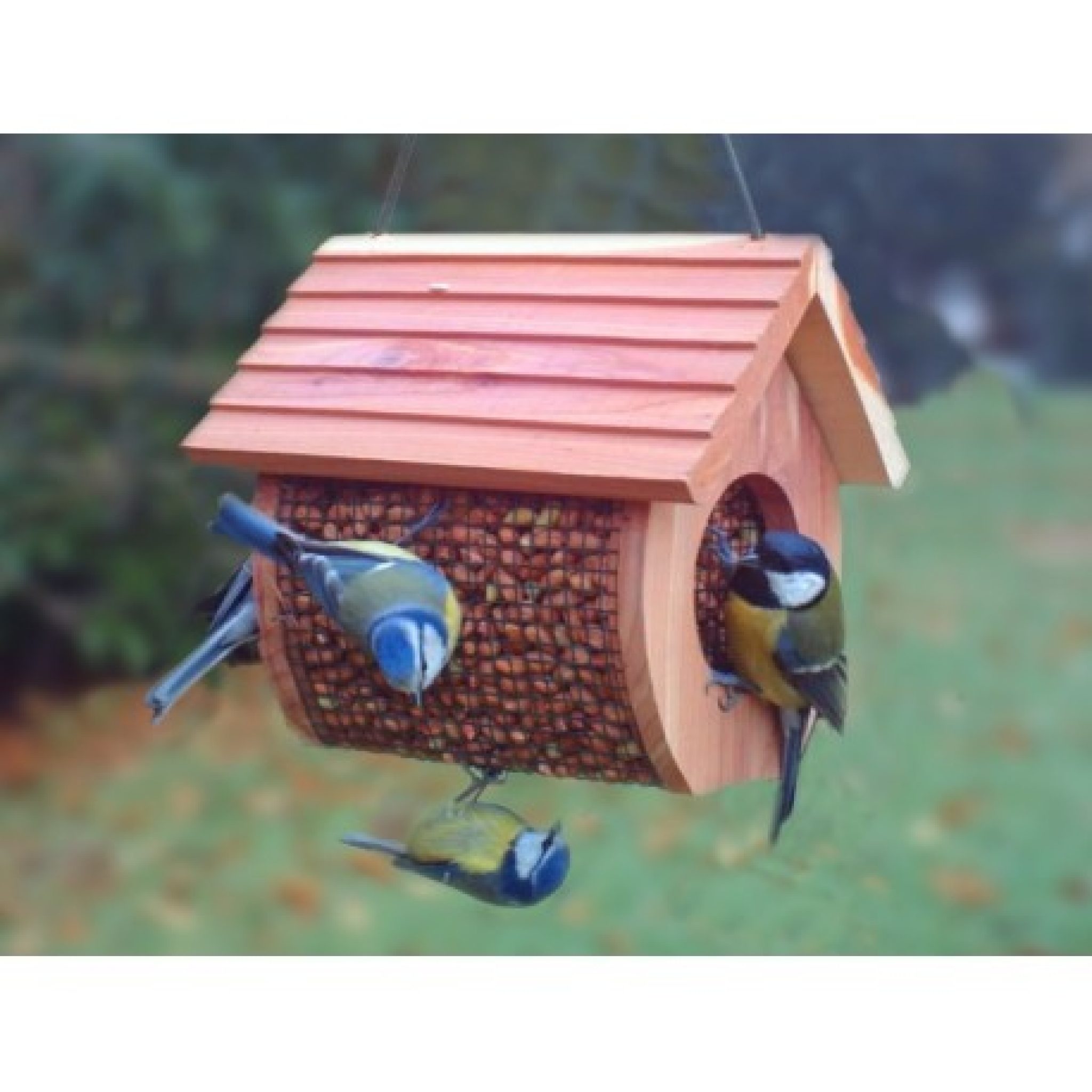 Plans Mangeoire Oiseaux Starnimo