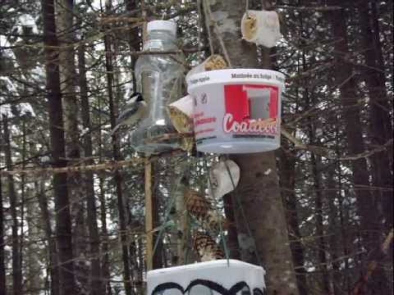 Support Pour Mangeoire Oiseaux Starnimo