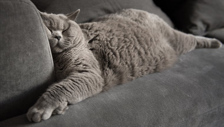 Sieste moins, faites plus d'exercice