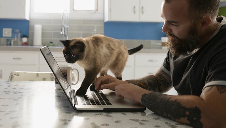 Respectez la propriété de votre être humain