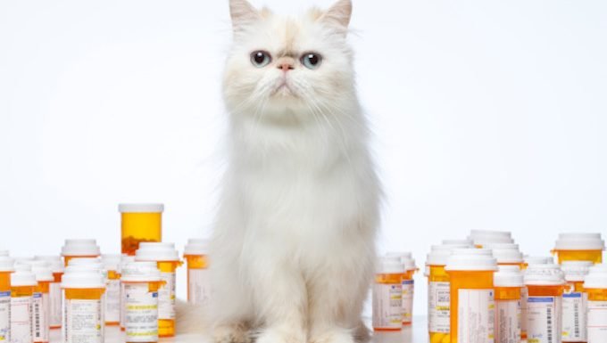 Gardez les médicaments et les pilules sous clé