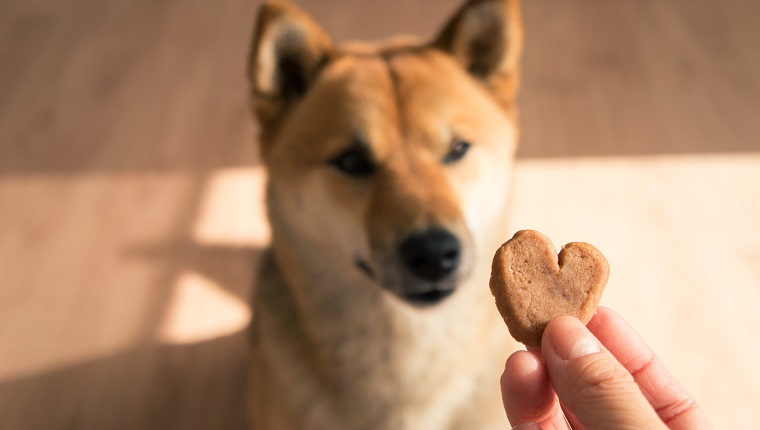 Quelqu'un a-t-il dit «friandises»?