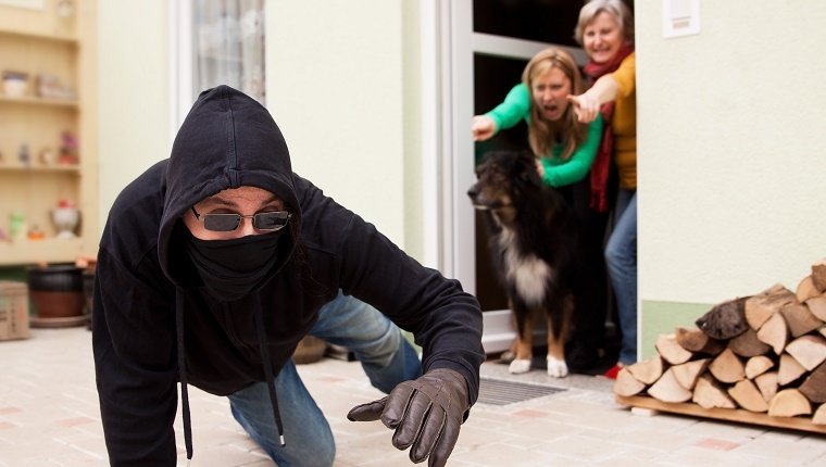 Signaler toute voiture ou personne suspecte