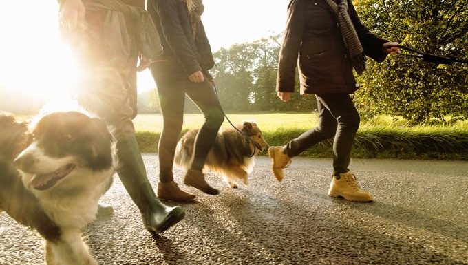 Faites une promenade supplémentaire