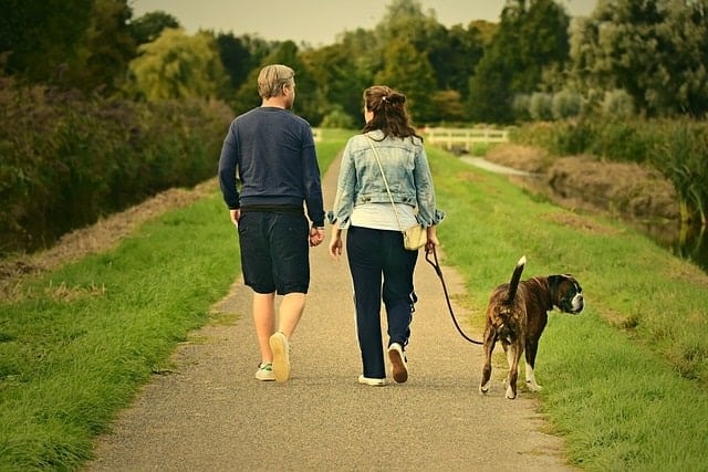 Couple promenant leur chien