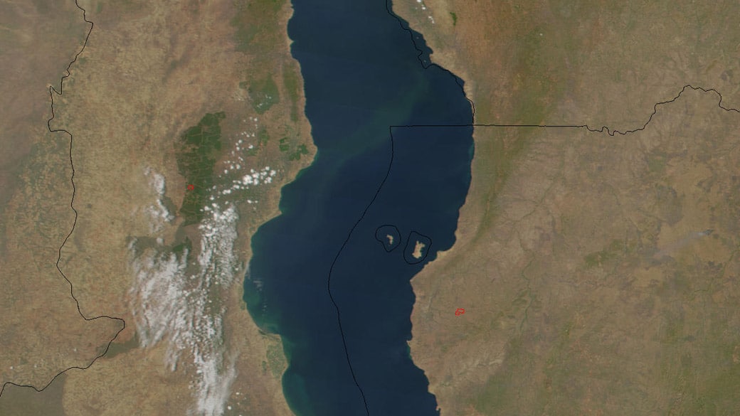 cichlidés de madagascar