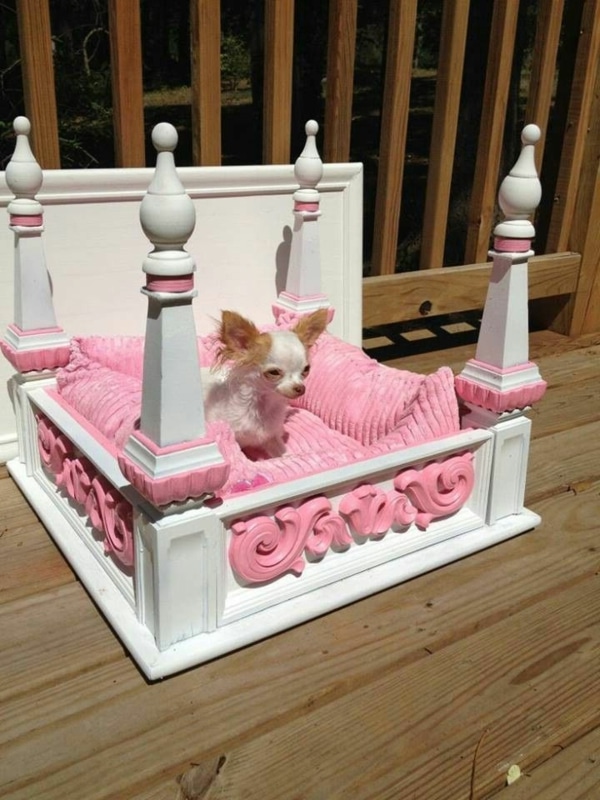 lit pour chien