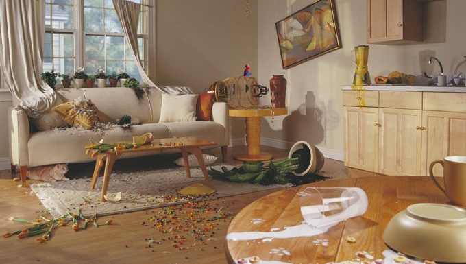 Votre maison n'est pas en ruine à votre retour