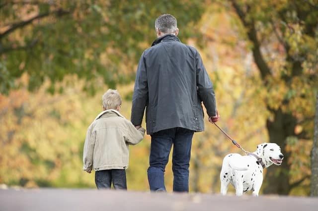 Homme et jeune fils marchant un Dalmatien