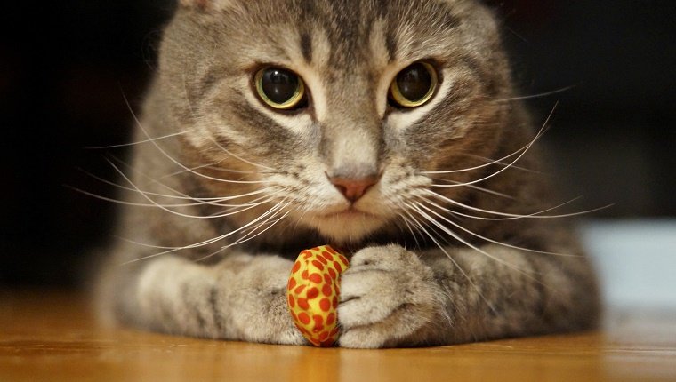 Jouets anciens ou endommagés