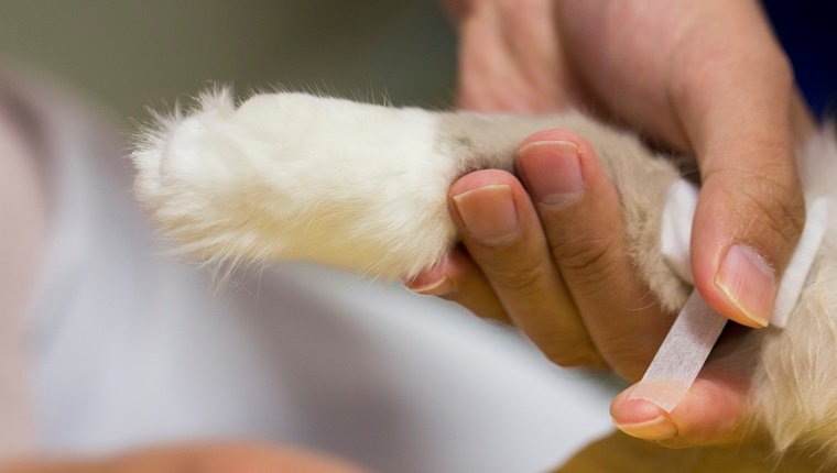 Trousse de premiers soins incomplète ou obsolète