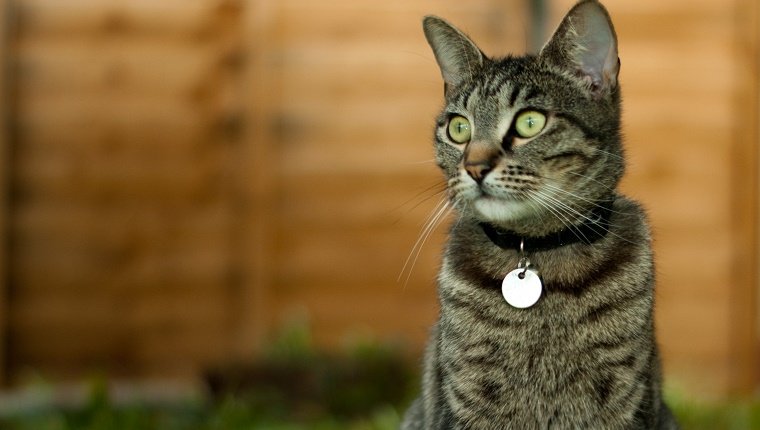 Tags usés ou anciens