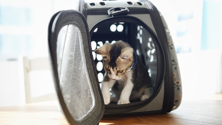 Supports et caisses endommagés