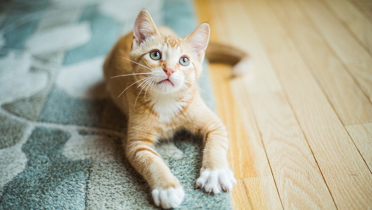 Réduisez les tissus difficiles à laver à la maison