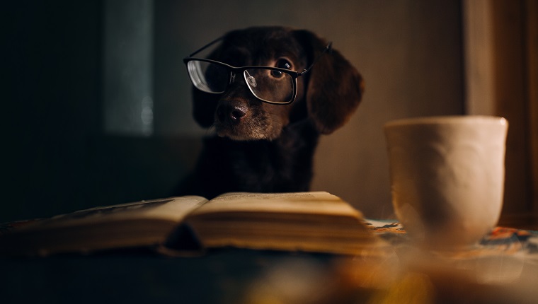 La lecture est pour tout le monde