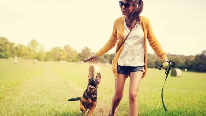 Les chiots vous suivront partout