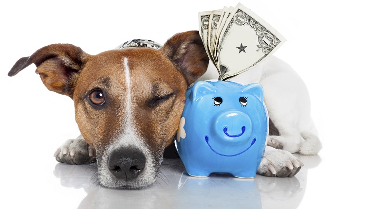 Les conseils aident beaucoup